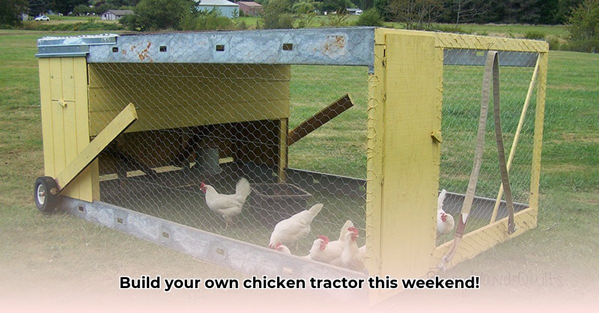 chicken-tractor-pictures